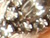 Diamond Eye