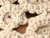 Oatmeal