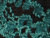 Black/Turquoise