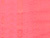 Neon Coral