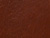 Medium Brown