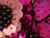 Fuschia