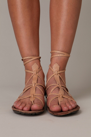 Sahara