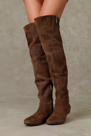 James Suede Over the Knee Boot with Zipper