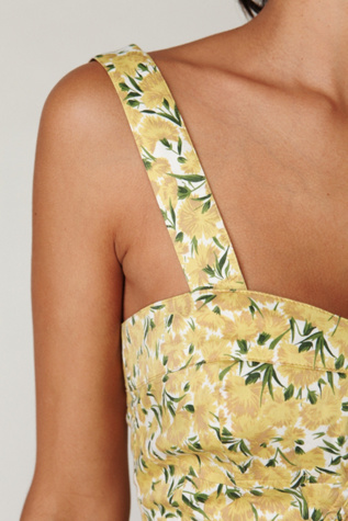 Dandelion Fit and Flare Dress