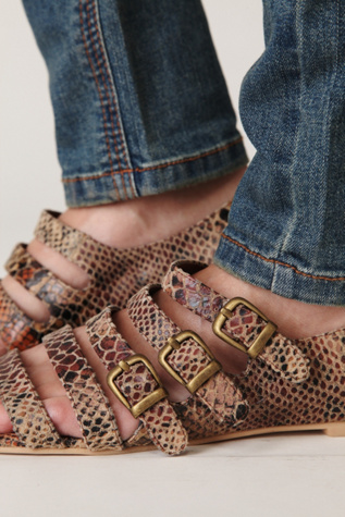 Python Brown