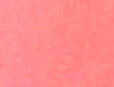 Neon Peach