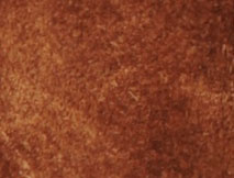 Cognac