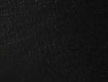 Black Leather