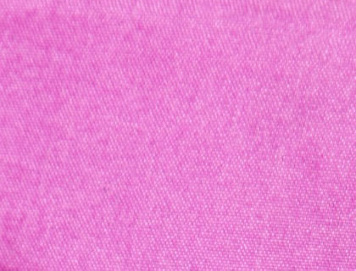 Fuschia Floral
