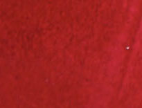 Raspberry