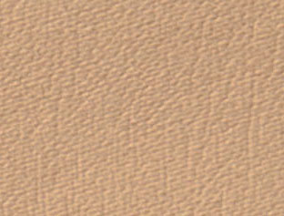 Putty