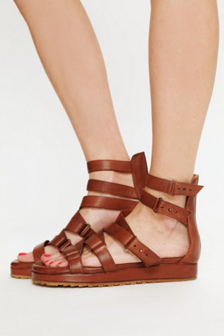 Burnished Gladiator