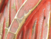Coral