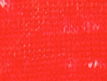 Cherry Stripe
