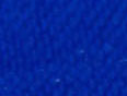 Electric Blue