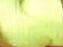 Neon Yellow