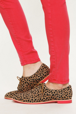 Drew Lace Oxford
