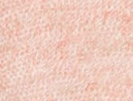 HOT CORAL
