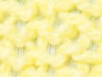 Lemon / White