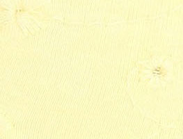 Lemon Drop