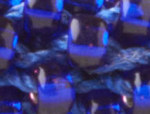 Blueberry