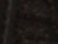 Neutral Speckle