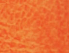 Burnt Orange