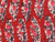 Red Border