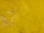 Silver with Yellow
