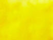 Yellow / Silver