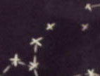 VIRGO