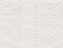 Ivory / Mint