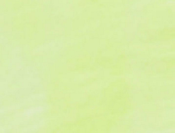 Neon Yellow