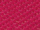 Merlot