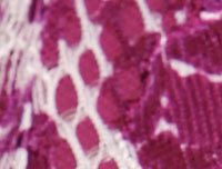 Purple Floral Print