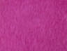 Bright Purple