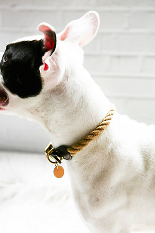 Natural Rope Collar