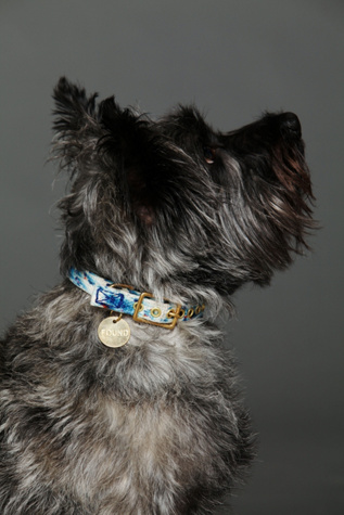 Tie Dye Canvas Collar