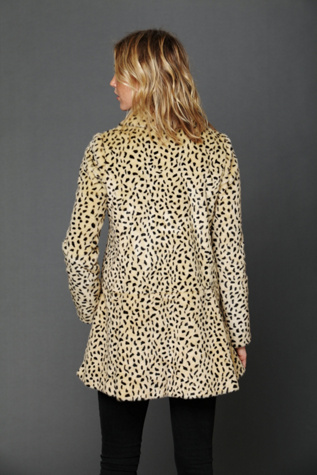 Cheetah