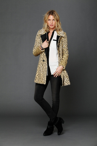 Cheetah