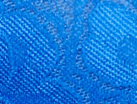 Forever Blue