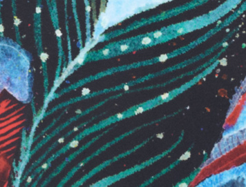 Feather Print