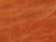 Tan Distressed