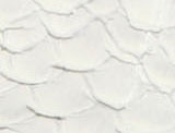 Grey Snake