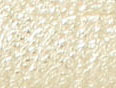 Gold Flash Leather