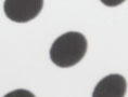 Ivory with Dots