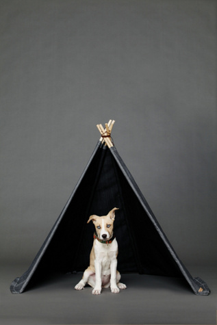 Saquaro Denim Tipi