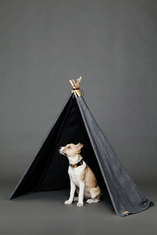 Saquaro Denim Tipi