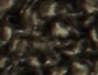 Dark Olive